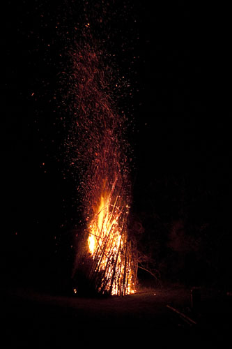 10-008